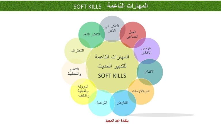 أهمية المهارات الناعمة في التعليم وتأهيل الطلاب لسوق العمل